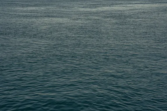 Казино Джакпот Моли Поддръжка